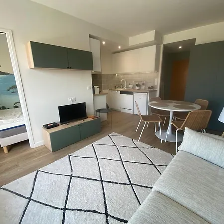 Appartement T1 Avec Terrasse Et Parking Securise - Fr-1-374-234 *